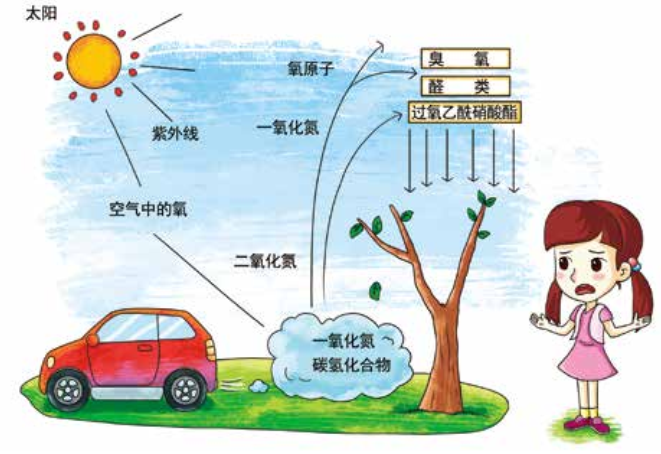 臭氧知識科普（2） | 臭氧跟光化學(xué)煙霧、PM2.5有什么關(guān)系？